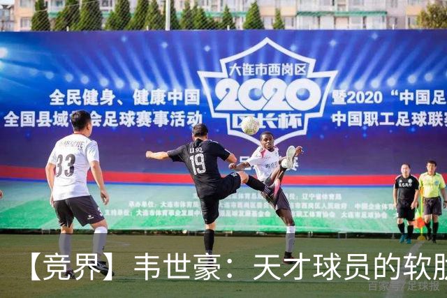 【竞界】韦世豪：天才球员的软肋 洪七公效应的外溢